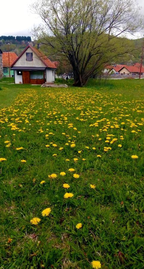 Apartment Enjoy Kolašin Екстериор снимка